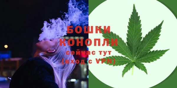 молекула духа Заволжье