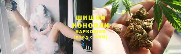 твердый Заводоуковск