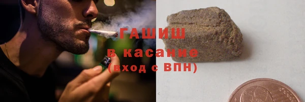 твердый Заводоуковск