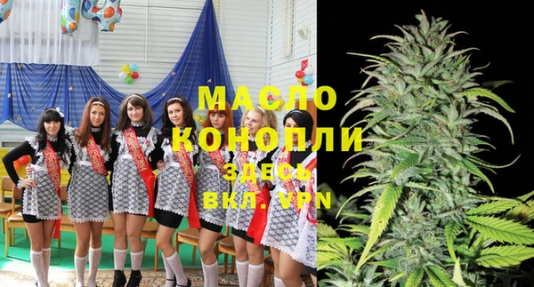 молекула духа Заволжье